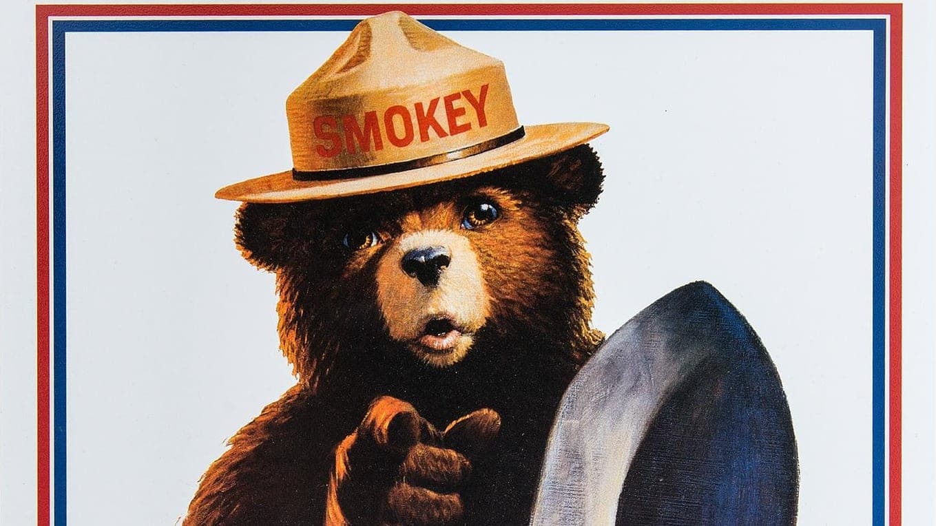 Smokey Bear Marks 82nd Birthday with Shore Flyover
