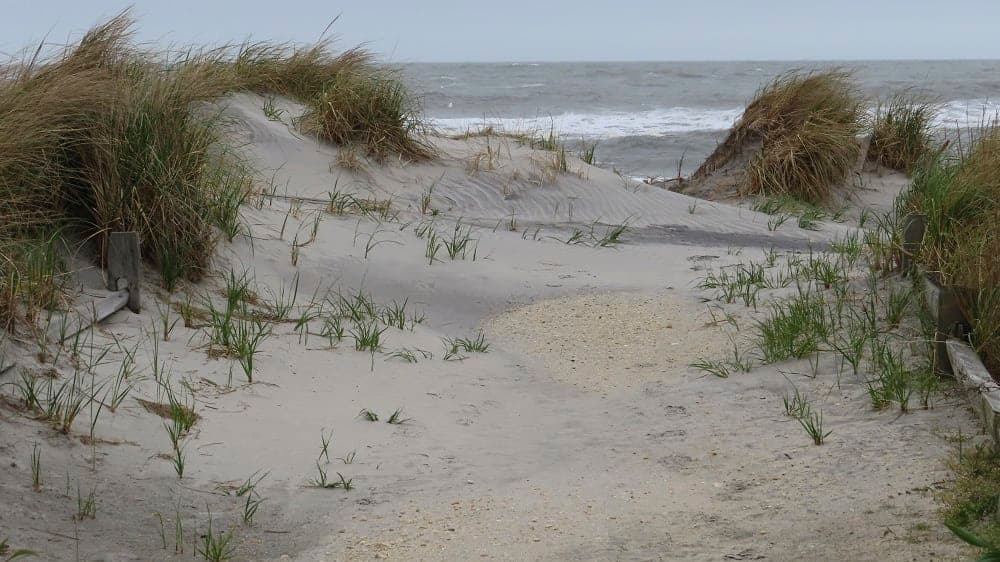After Nor’easter Devastates Dunes, Brigantine Mayor Calls for Emergency Beach Replenishment