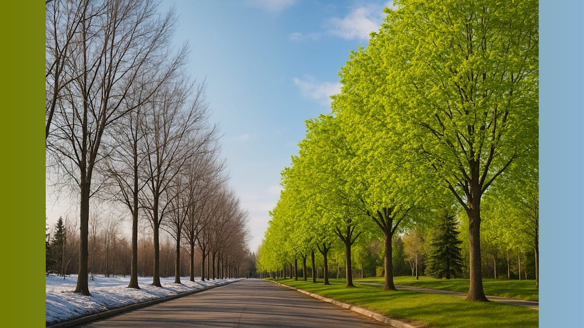 Fairbanks Experiences Dramatic 24-Hour Spring Transformation