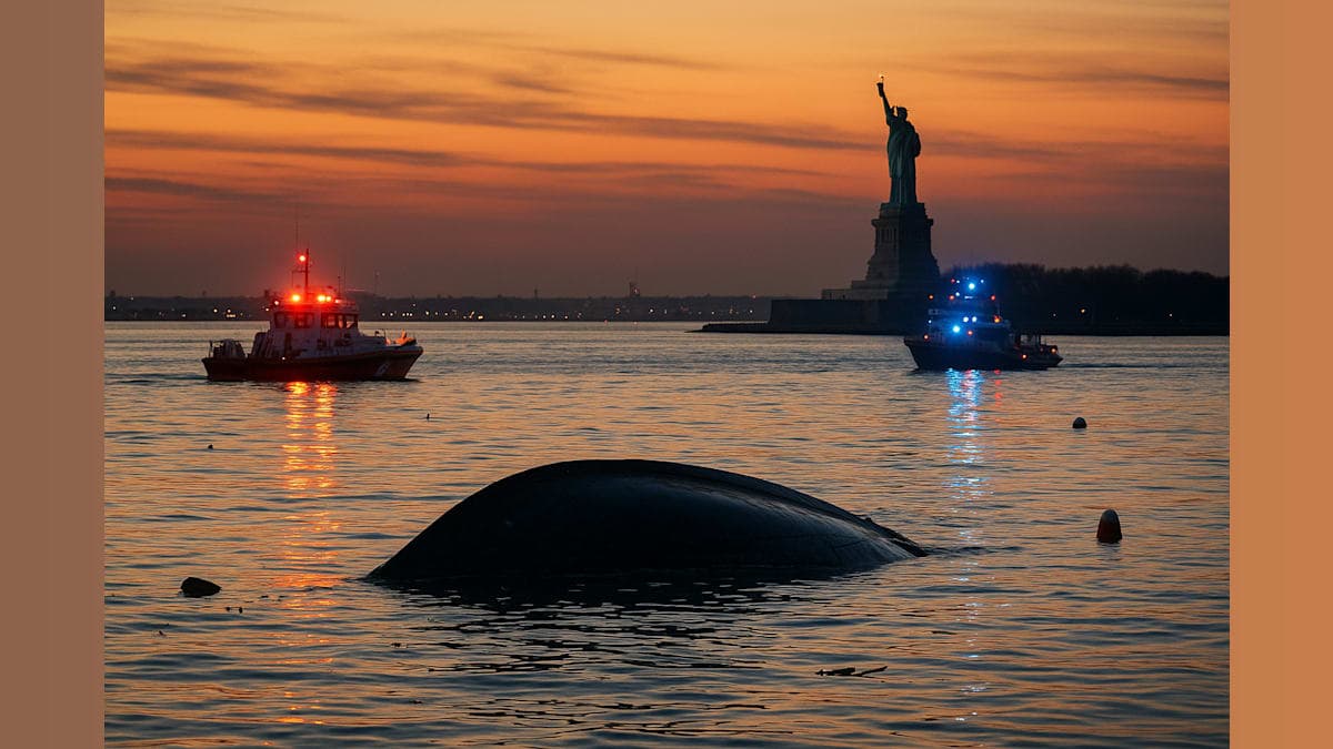 Woman and Infant Die After Boat Capsizes Near Liberty Island