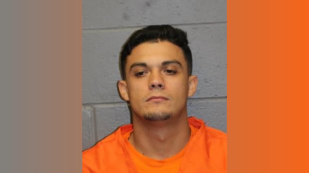 Road Rage Threats Against Driver, Dog Lead to 3-Year Prison Sentence