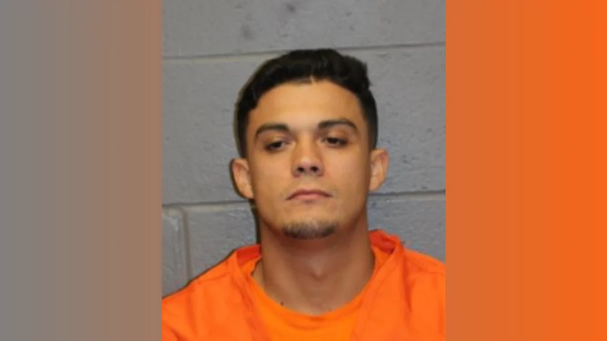 Road Rage Threats Against Driver, Dog Lead to 3-Year Prison Sentence