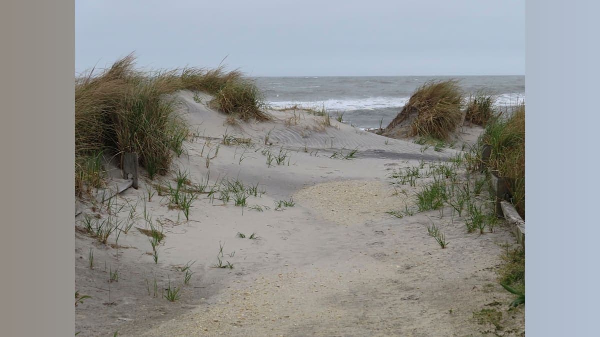 After Nor’easter Devastates Dunes, Brigantine Mayor Calls for Emergency Beach Replenishment